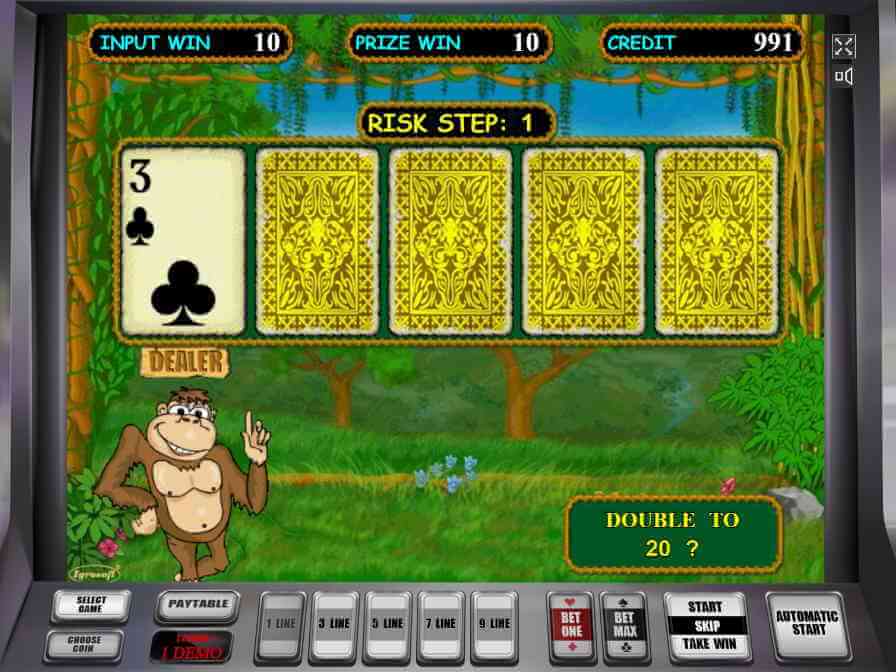 При удачном исходе риск раунда выигрыш удваивается! Риск раунд азартной игры Сумасшедшие обезьянки