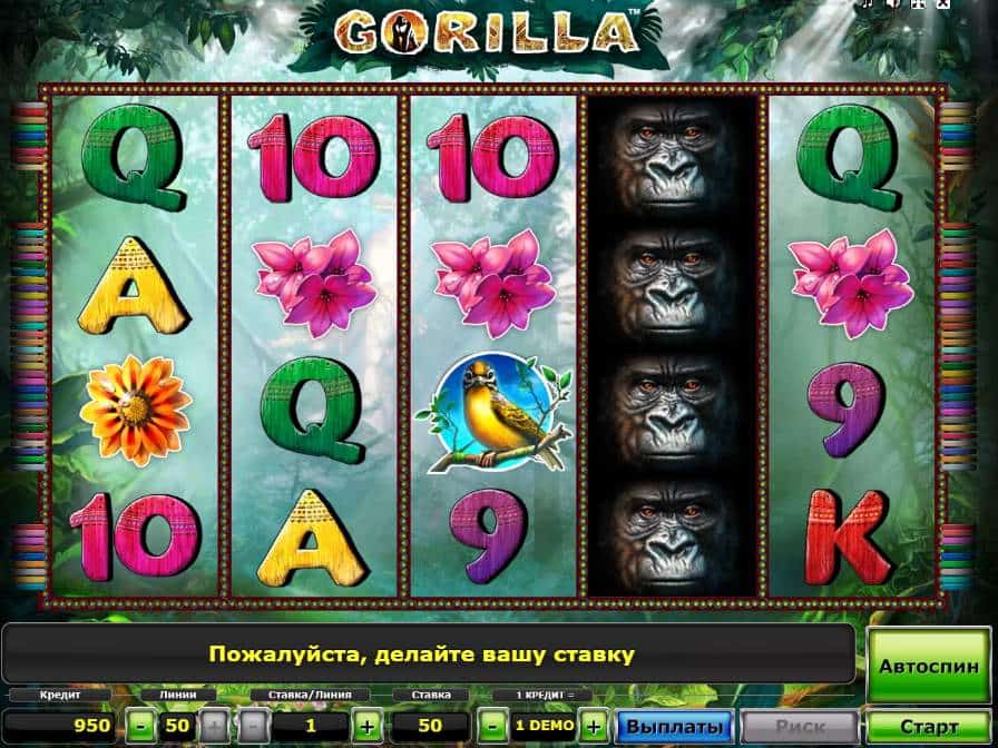 Gorilla